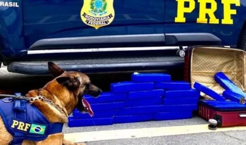  Mulher é presa no sudoeste da Bahia com 20 kg de maconha