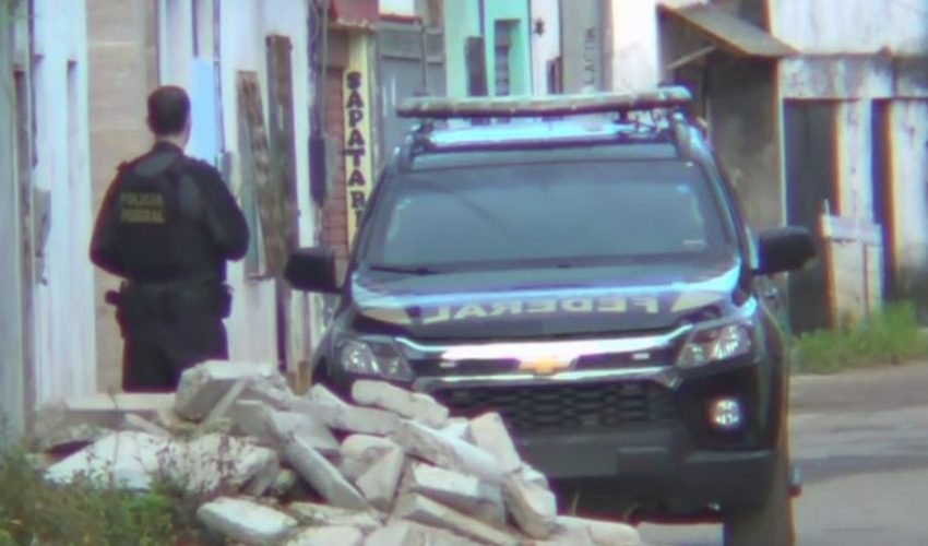  Operação Voo Livre: Cerca de 400 aves são apreendidas em Salvador e RMS