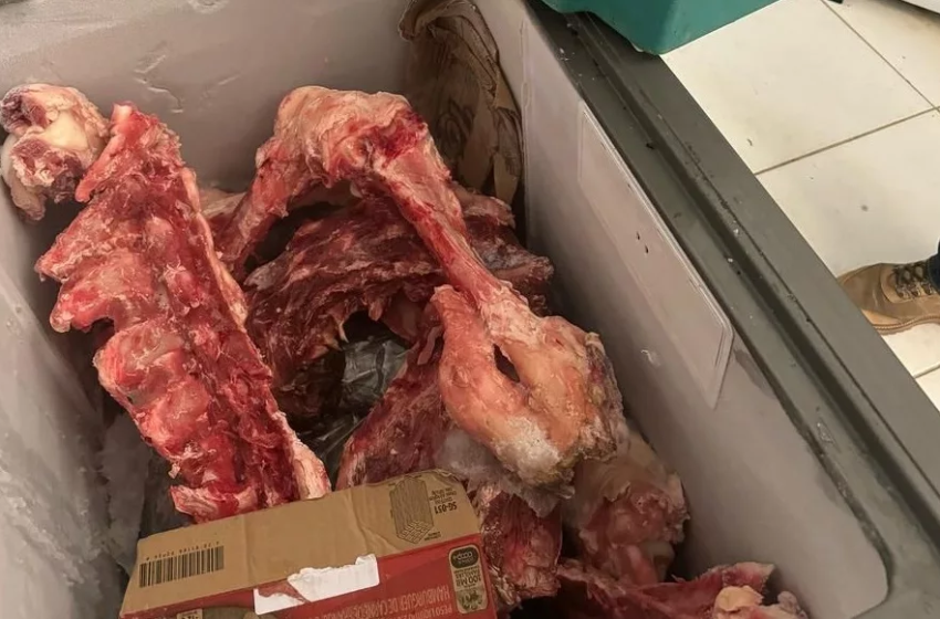  Mulher é presa por receptação de carne furtada e venda em açougue clandestino em condições insalubres em Lauro de Freitas