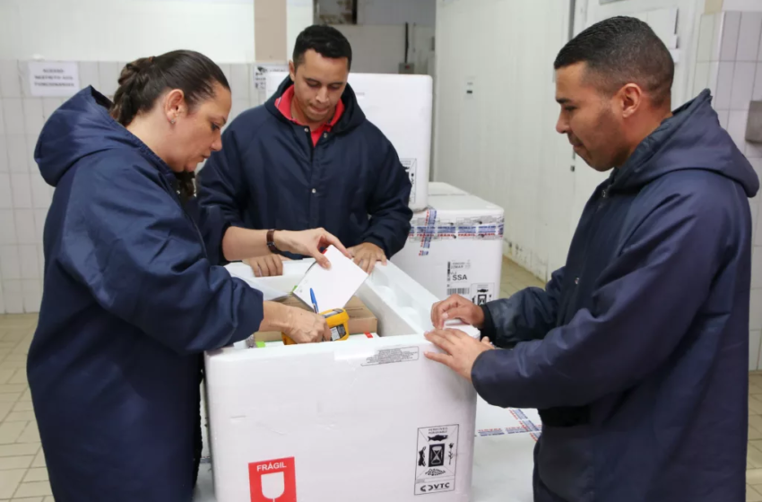  Bahia inicia distribuição de vacinas contra a gripe após receber doses; saiba detalhes